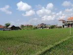 Dinas-Pertanian-Denpasar-Akan-Lakukan-Perbaikan-Irigasi-150-Hektar-Sawah.jpg