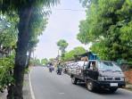 Evaluasi-pohon-Pohon-perindang-di-Jalan-Raya-Bedulu-Blahbatuh-Gianyar-Bali.jpg