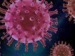 HEBOH-Kasus-Penyakit-Endemik-Baru-di-China-Kemenkes-Minta-Publk-Waspada-Penyebaran-Virus-HMPV.jpg