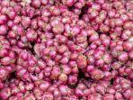 Ilustrasi-bawang-merah-Harga-Bahan-Pokok-Bali-19-Oktober-Bawang-Merah-Rp25000kilogram.jpg