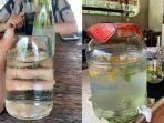 Infused-Water-yang-terbuat-dari-air-hujan.jpg