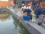 Kokomad-Berdonasi-Ikan-Koi-di-Pura-Jagadnatha-Denpasar-Angga.jpg