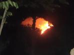 Kondisi-kebakaran-hutan-di-kawasan-Desa-Banyupoh-Kecamatan-Gerokgak-58.jpg