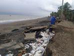 Kondisi-pesisir-Pantai-Pebuahan-yang-terus-digempur-abrasi.jpg