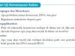 Kunci-Jawaban-IPA-Kelas-9-Halaman-145-Kurikulum-Merdeka-cover.jpg