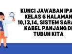 Kunci-Jawaban-IPAS-Kelas-6-Halaman-101314-Sistem-Saraf-Kabel-Panjang-di-Tubuh-Kita.jpg