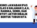 Kunci-Jawaban-IPAS-Kelas-6-Halaman-246-Rangka-Sendi-dan-Otot-Aktor-Dibalik-Bentuk-Tubuh-Kita.jpg