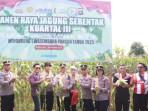 Ketahanan Pangan dari Desa Petang: Kolaborasi Polisi dan Pelajar Panen Ratusan Kilo Jagung