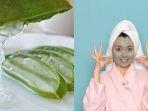 Manfaat-lidah-buaya-untuk-kulit-dan-wajah.jpg