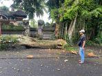 Masyarakat-setempat-dibantu-personel-Polsek-Bangli-TNI-hingga-TRC-BPBD-Bangli.jpg