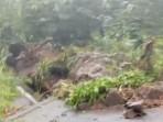 20 KK Terisolir, Tanah Longsor Tutupi Jalan Bukit Abah, Perbekel Bingung Cari Bantuan