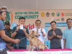 NAIK 2 Kali Lipat dari Tahun Lalu, Kasus Rabies 2025 di Jembrana, 96 Kasus Rabies Selama 9 Bulan!