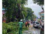 Pelaksanaan-perompesan-pohon-di-Denpasar-2.jpg