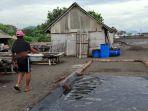 Petani-garam-di-Kusamba-Selasa-2342024-tidak-dapat-memproduksi-garam.jpg