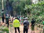 Proses-evakuasi-pohon-tumbang-di-Monkey-Forest.jpg
