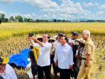 Semasa-Mesra-Presiden-Jokowi-saat-meninjau-panen-raya-padi-dengan-Menteri-Pertahanan-Prabowo.jpg