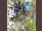 Seorang-penebang-pohon-asal-Desa-Kintamani-meninggal-setelah-terjatuh.jpg
