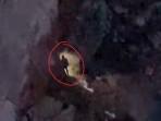 Seorang-warga-saat-terekam-video-nekat-turun-ke-kawah-Gunung-Agung.jpg