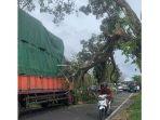 Suasana-di-TKP-pohon-tumbang-menimpa-truk.jpg