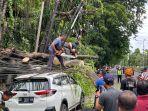 Suasana-evakuasi-pohon-tumbang-yang-terjadi-di-Jalan-Bypass-Ngurah-Rai-Denpasar.jpg