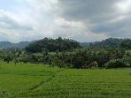 Suasana-pertanian-di-Br-Dinas-Iseh.jpg
