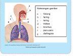 Tema-2-kelas-5-SDMI-Halaman-13-15.jpg