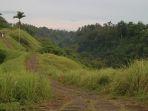 destinasi-wisata-bali-campuhan-ridge-walk-ubud.jpg