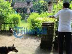 eliminasi-anjing_20160715_130409.jpg