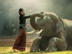 foto-ilustrasi-gajah.jpg