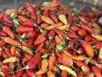 harga-cabai-rawit-dan-bawang-merah-mengalami-kenaikan.jpg