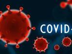 ilustrasi-covid-19-update-corona-di-bali-8-april-2020.jpg