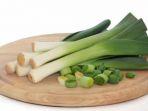 ilustrasi-daun-bawang.jpg