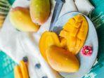 ilustrasi-mangga-pencegah-corona.jpg