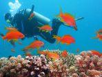 ilustrasi-menyelam-diving.jpg