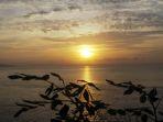 matahari-pagi-matahari-terbit-pantai_dwis.jpg