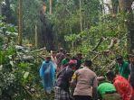 objek-wisata-Monkey-Forest-Ubud-Gianyar-Bali.jpg