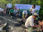 penanaman-mangrove-lng.jpg