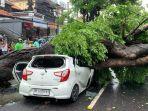 peristiwa-pohon-tumbang-di-Jalan-Raya-Ku.jpg