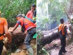 pohon-tumbang-di-bebandem-2-juli-2024.jpg