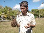 salah-satu-petani-lebah-di-bali-i-wayan-gede-adriana.jpg