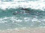 sampah-pantai-siang-ini.jpg