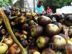 sehatkan-gijal-dengan-konsumsi-buah-lontar.jpg
