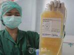 stok-darah-plasma-konvalesen-di-rsup-sanglah-1.jpg