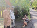 vaksinasi-anjing-rabies-di-tabanan.jpg
