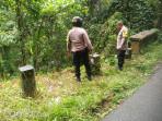 VIRAL Pengendara Jatuh di Jembatan Selan Bawak Tabanan, Ternyata Kecelakaan Terjadi karena Panik!