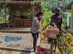 wisatawan-melihat-budi-daya-madu-kele-lebah-trigona-di-destinasi-petapan.jpg
