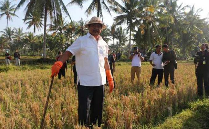 Wakil Gubernur Kejar Tikus
