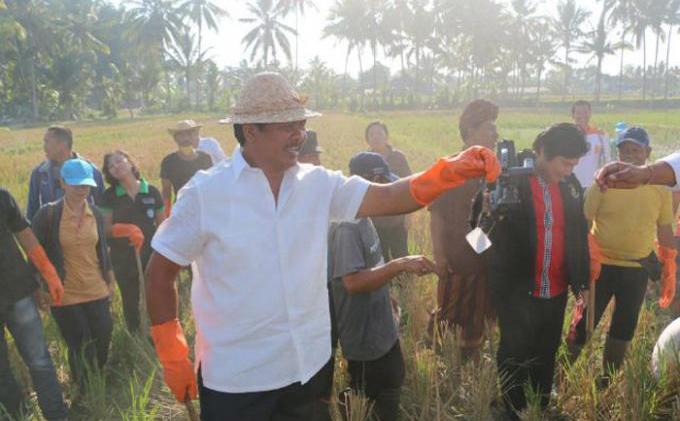 Wakil Gubernur Kejar Tikus