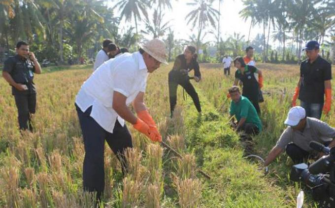 Wakil Gubernur Kejar Tikus