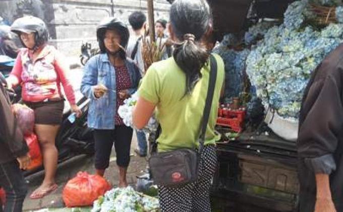 Permintaan Meningkat 100 Persen, Suarta Kewalahan Layani Pembeli Bunga - bunga_sui1.jpg